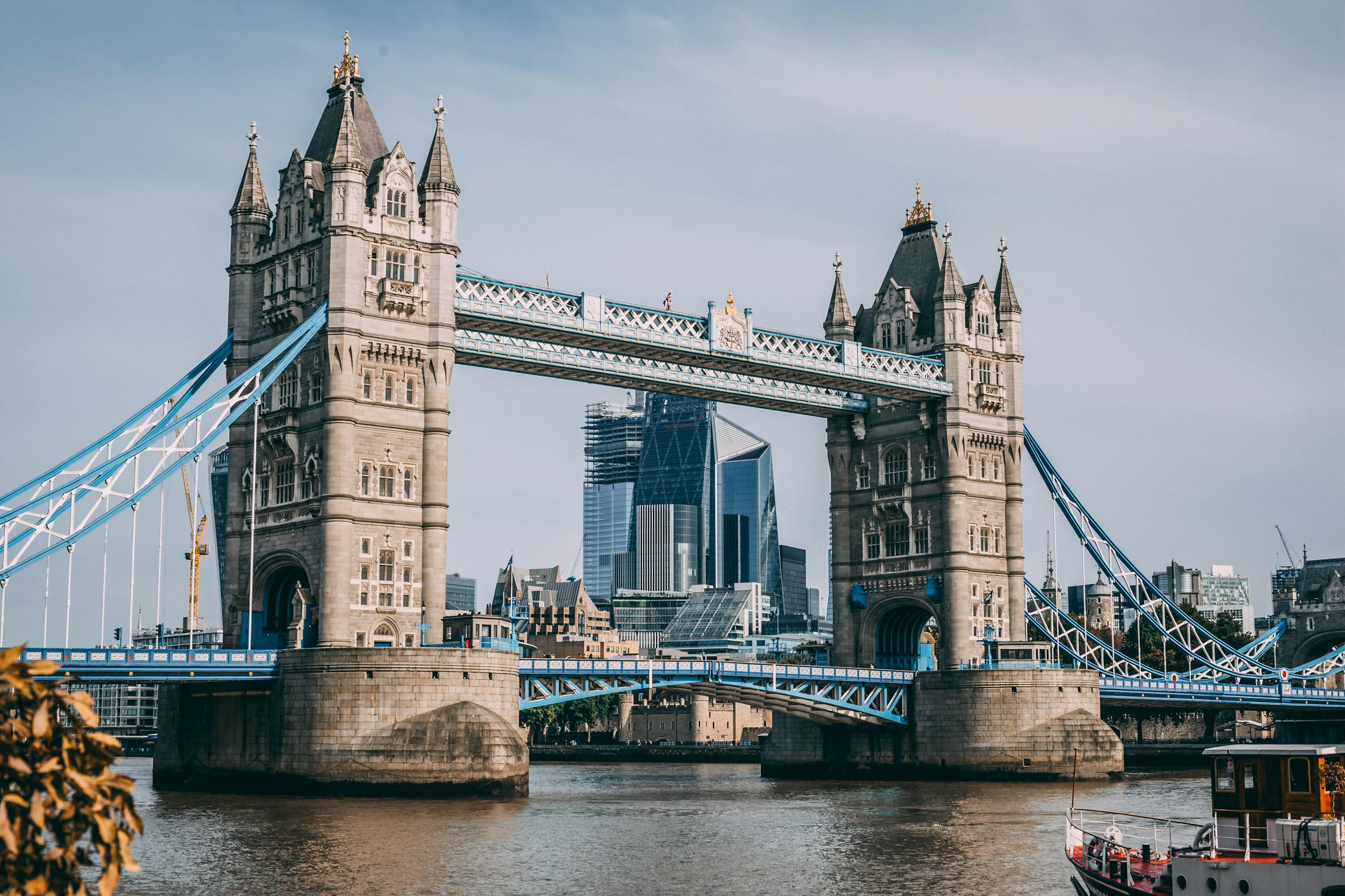 Header Banner